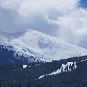 Meet your Posher, Ingrid